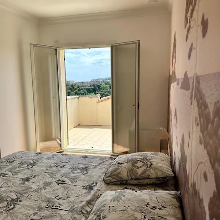 Passiflore With Garden And Private Swimming Pool Apartment Nice